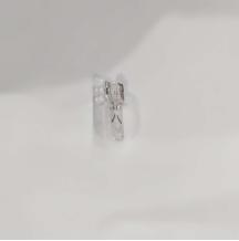 飞利浦W5W灯泡/只 商品图0