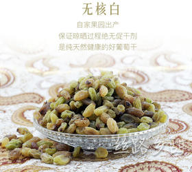 代理产品勿拍纯天然无核白葡萄干 500g