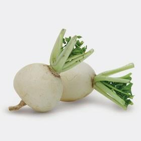 圆白萝卜400g 商品图0