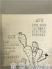 童谣365 （注音版）彭荣辉 江苏教育出版社 商品缩略图3