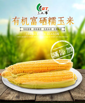三工滩有机糯玉米 (黑黄随机搭配)