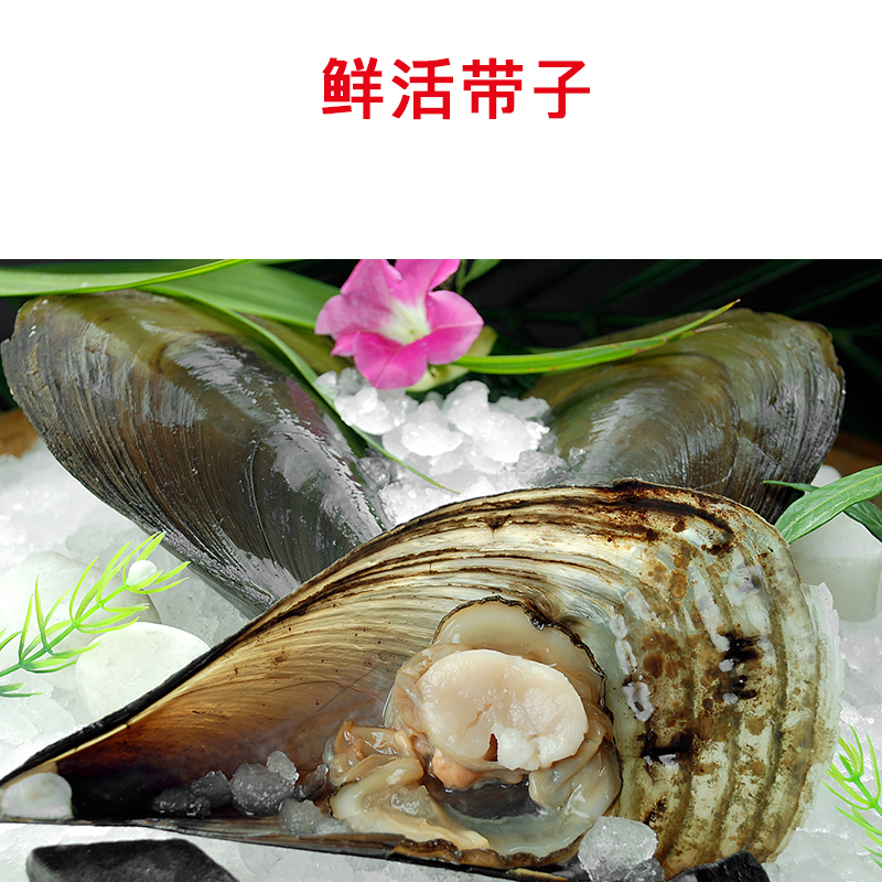 【活鲜-市区专供】鲜带子 3个一份装