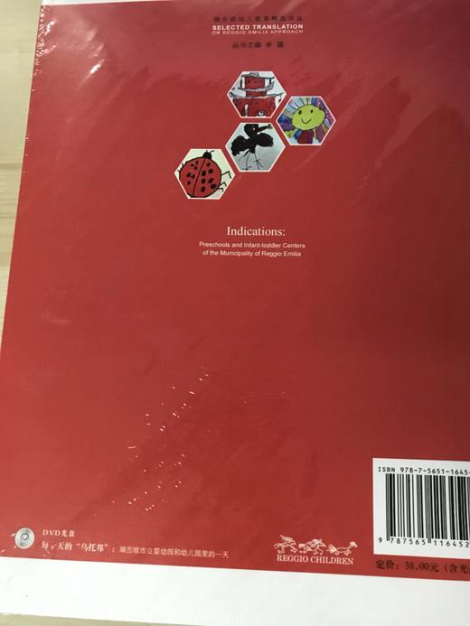 瑞吉欧幼儿教育精选译丛 南京师范大学出版社 商品图1