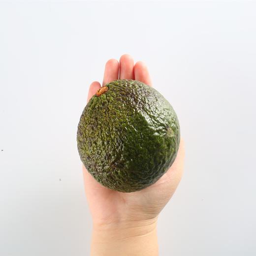 【自提 】土哆哆进口缅甸巨无霸牛油果2kg 商品图1