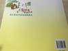 幼儿园室外活动场地建设 程晓明著 南京师范大学出版社 商品缩略图3
