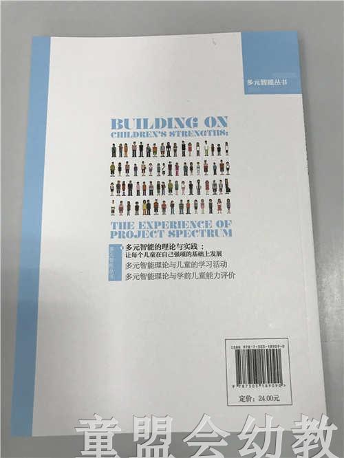 多元智能的理论与实践  陈杰琦 北京师范大学出版社 商品图1