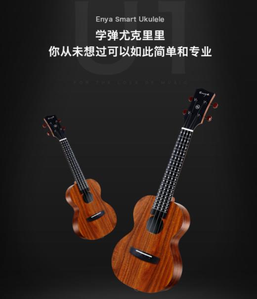 恩雅尤克里里23寸smart U1K 商品图0