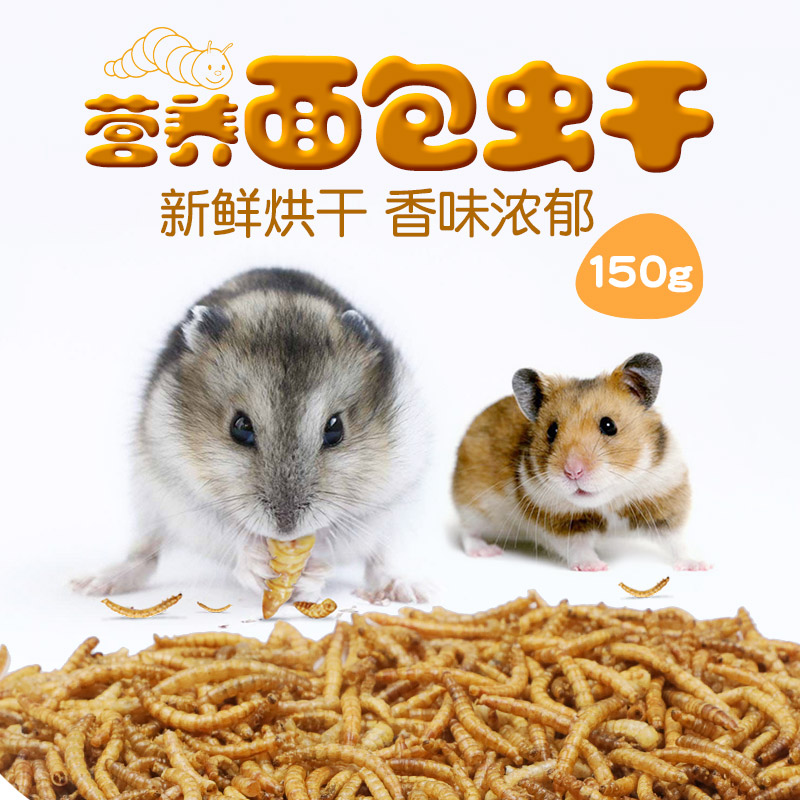 【面包虫干 仓鼠粮食用品 金丝熊粮食物 粮小零食饲料套餐 黄粉虫】