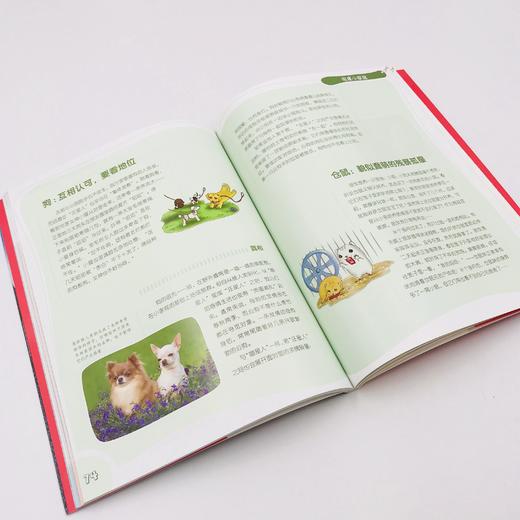 博物少年百科·了不起的科学（第2辑）  粉丝热爱的科普杂志《博物》14年精华内容 多位科研学者及科普达人推荐！ 精选孩子感兴趣、与学科相关的主题， 多方位提升孩子科学素养！ 商品图3