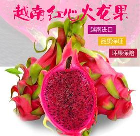 （永久下架）【开心2018】越南红心火龙果5斤装