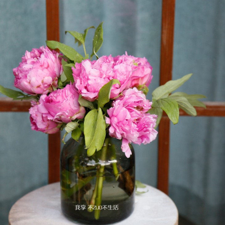【我享花生活 ▏牡丹】春节特惠切花预售