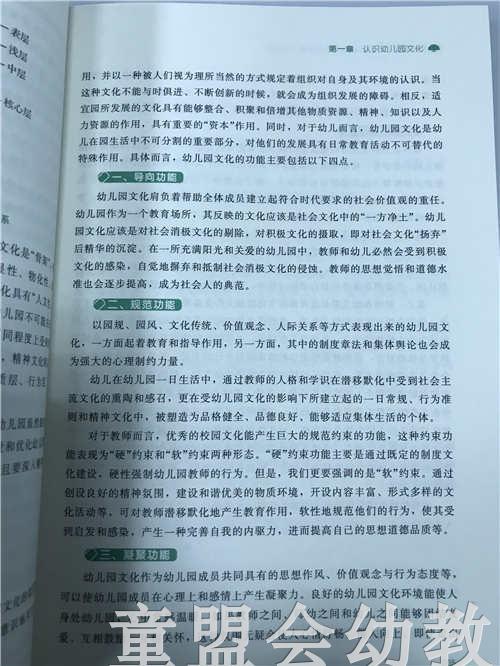 润物细无声园长园所文化建设能力的提升 苏婧 北京师范大学出版社 商品图4