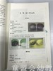 幼儿园自制玩教具精选 北京师范大学实验幼儿园 北师大出版社 商品缩略图3
