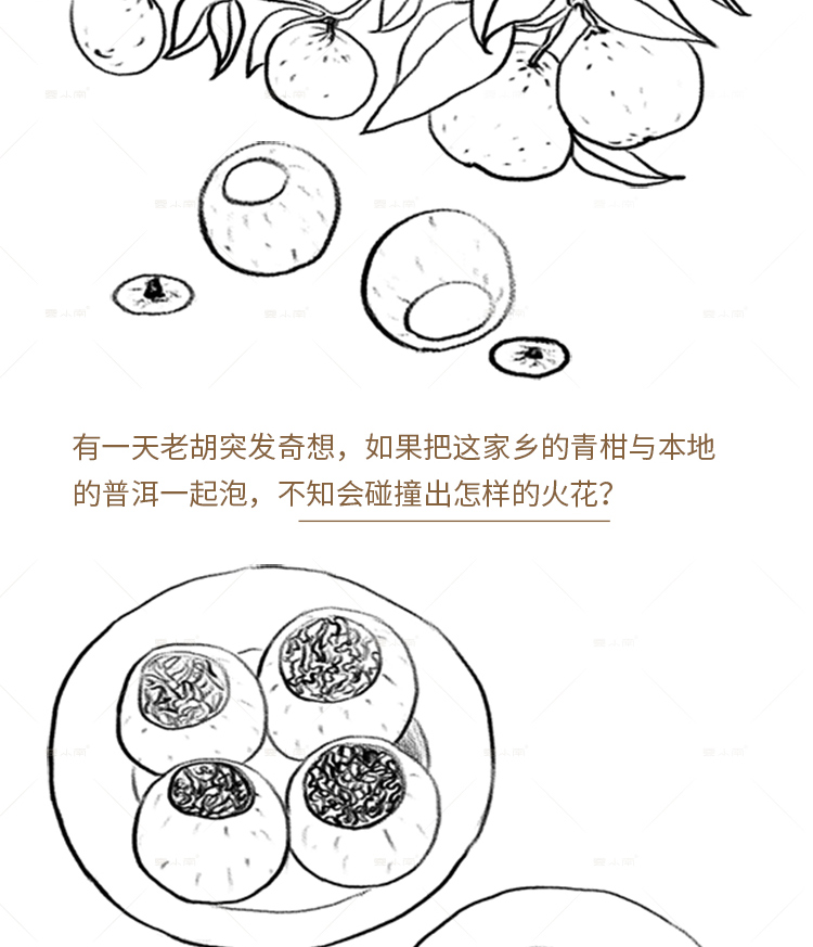 云小南醇香小青柑陈皮普洱茶柑普茶新会桔普茶叶双罐