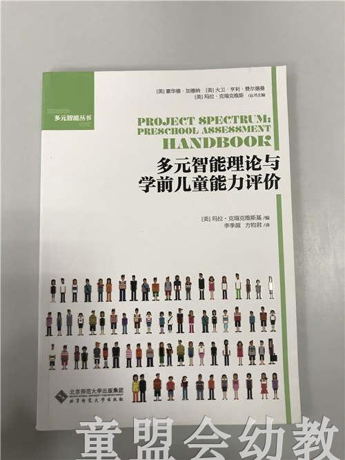 多元智能理论与学前儿童能力评价 玛拉克瑞克维斯基 北师大出版社 商品图0