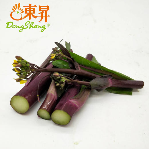 东升农场  有机红菜心  红菜花 广州蔬菜新鲜配送 300g 商品图2