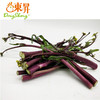 东升农场  有机红菜心  红菜花 广州蔬菜新鲜配送 300g 商品缩略图1