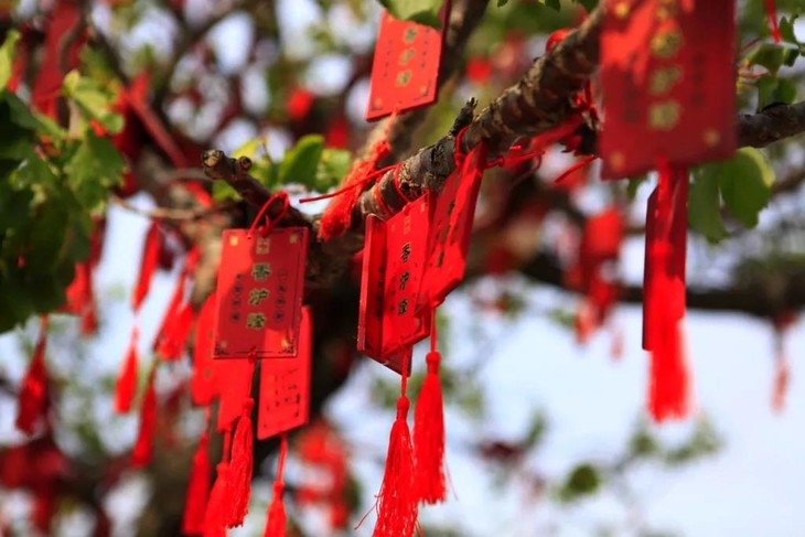 许愿树,祈福牌,写下今年的新年愿意.也许,很快实现了呢!