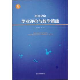 初中化学教学策略北京师范大学出版社