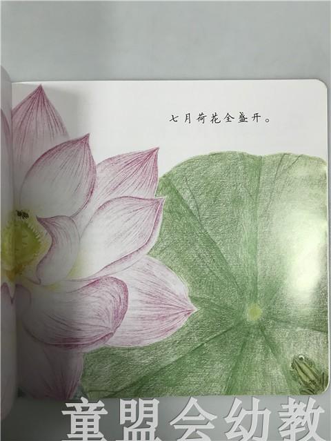首届江苏省新闻出版政府奖 小橘宝图画馆·荷花荷花几月开 商品图2