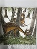 小橘宝图画馆·狐假虎威(平装) 江苏凤凰教育出版社 商品缩略图2