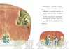 蒲蒲兰 老鼠娶新娘 张玲玲，刘宗慧 3-4-5-6岁 21世纪出版社 正版 商品缩略图4