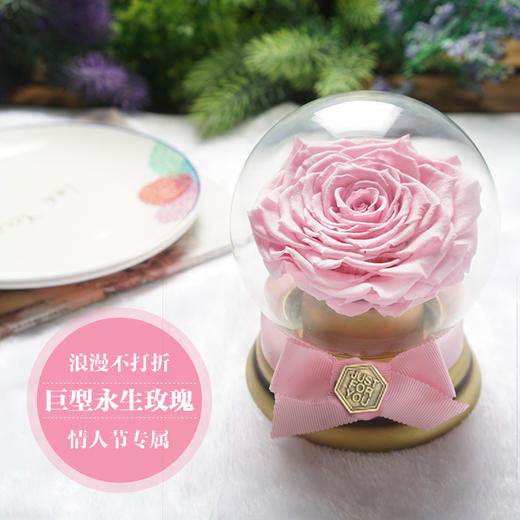 欢乐颂同款音乐水晶球巨型永生玫瑰礼盒送女朋友爱人老婆纪念日生日七夕情人节浪漫惊喜感恩节圣诞节礼物 商品图3