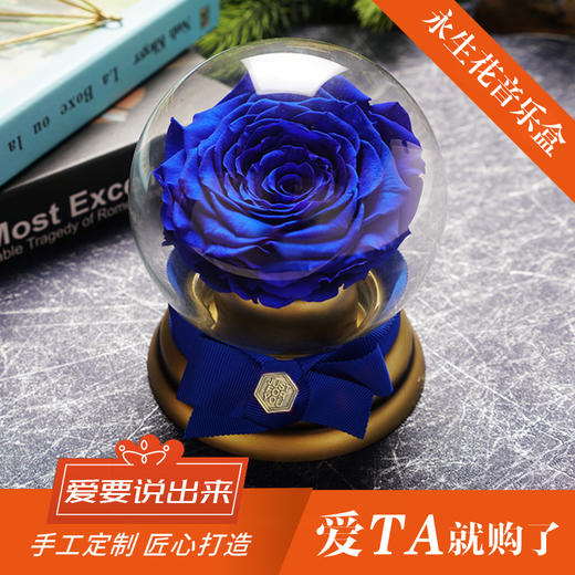 欢乐颂同款音乐水晶球巨型永生玫瑰礼盒送女朋友爱人老婆纪念日生日七夕情人节浪漫惊喜感恩节圣诞节礼物 商品图0