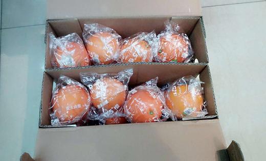 【常州馆】杰记水果17度5橙礼盒3kg【仅供展示】 商品图1