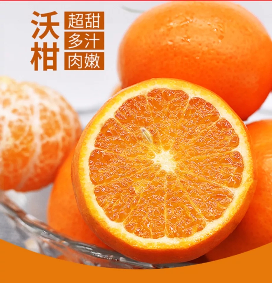 Ԥ5졿ָ ֭ ⱥ 10װ 168Ԫ/