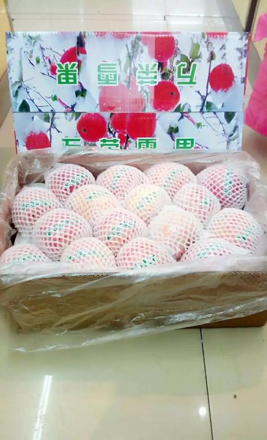 【常州馆】杰记水果万荣雪果9kg礼盒【仅供展示】 商品图0