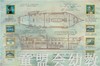 启发 得奖绘本：生命之树-达尔文的一生 3-4-5-6岁读物 正版 商品缩略图3