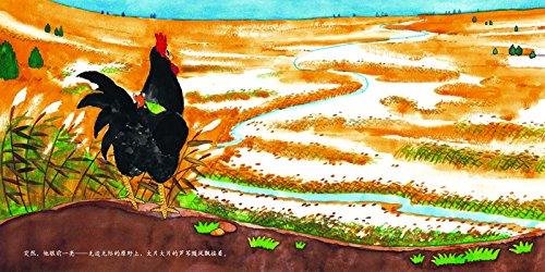 蒲蒲兰 绘本 我要变大 精装 经典 亲子 睡前故事 满包邮 商品图4