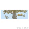 信谊宝宝起步走 猫头鹰蝙蝠 明天出版社 正版 0-3-4-5-6岁 商品缩略图4