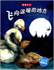 海豚  绘本  爱是什么：飞向温暖的地方 平装 任意5本包邮 商品缩略图0