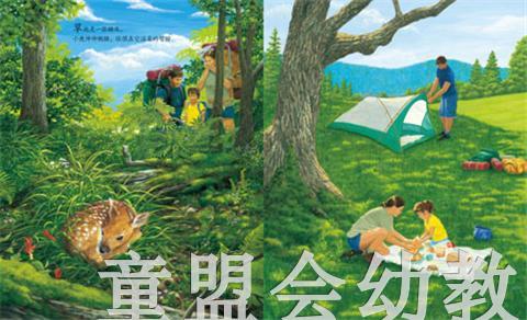 海豚 我眼中的世界  长江少年儿童出版社 商品图1