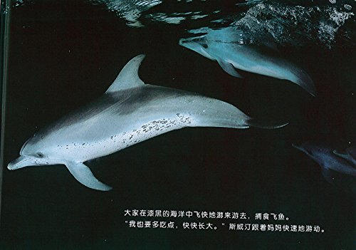 蒲蒲兰 蓝色海洋中的海豚们 越智充奈子 3-4-5-6岁儿童 正版 商品图3
