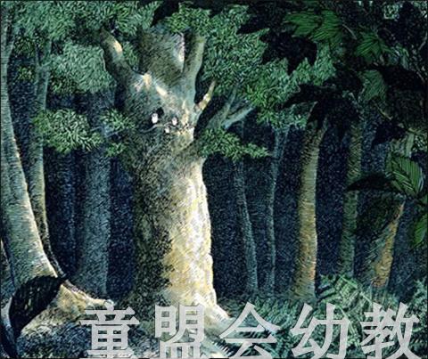 信谊宝宝起步走 小猫头鹰 明天出版社 正版 满包邮 0-3-4-5-6岁 商品图2