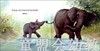启发 我爱妈妈 北京科学技术出版社 0-3-4-5-6岁 正版 商品缩略图3