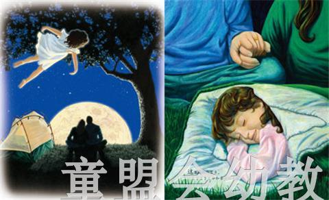 海豚 我眼中的世界  长江少年儿童出版社 商品图4