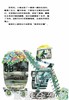信谊 绘本 花城 明天出版社 正版 满包邮 3-4-5-6岁 商品缩略图4