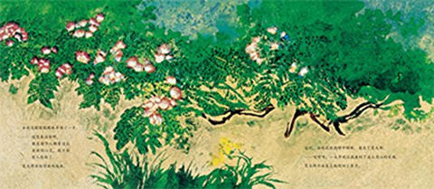 蒲蒲兰 小蚯蚓宽太郎 田岛征彦 3-4-5-6岁儿童绘本 正版 商品图2