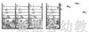 信谊宝宝起步走 寻猫启事 明天出版社 满包邮 正版 0-3-4-5-6岁 商品缩略图3
