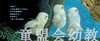 信谊宝宝起步走 小猫头鹰 明天出版社 正版 满包邮 0-3-4-5-6岁 商品缩略图4