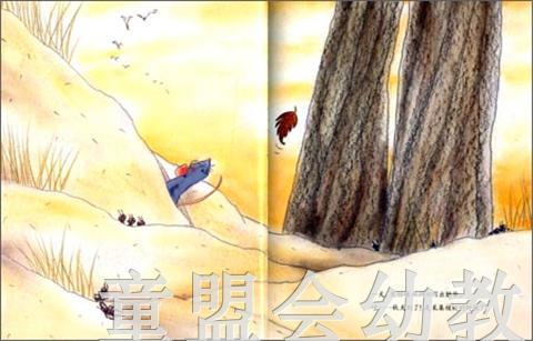 信谊 绘本 核桃 明天出版社 正版 满包邮 3-4-5-6岁 商品图3