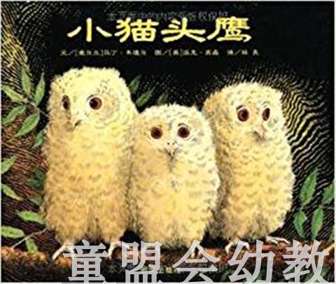 信谊宝宝起步走 小猫头鹰 明天出版社 正版 满包邮 0-3-4-5-6岁 商品图0