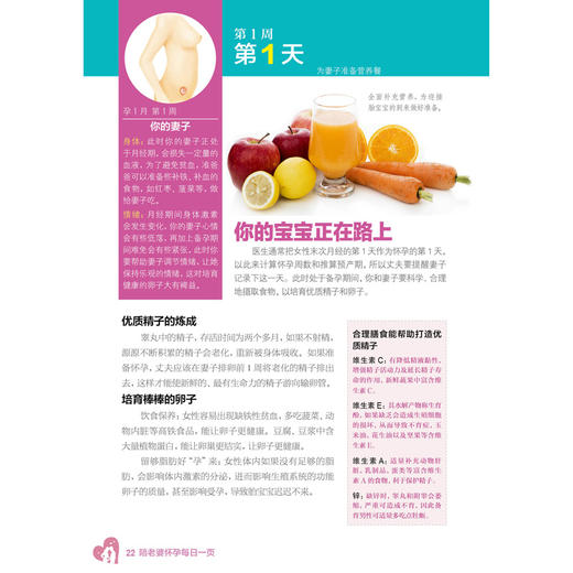 陪老婆怀孕每日一页 商品图2
