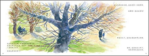 蒲蒲兰 卢利尤伯伯 伊势英子 3-4-5-6岁儿童读物 正版 商品图4