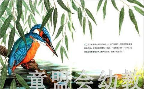 拨拨鼠 我们一起去 华东师范大学出版社 商品图3