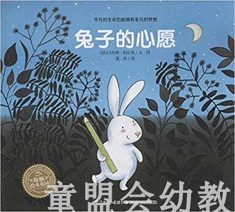 海豚 兔子的心愿 （平）长江少年儿童出版社 商品图0